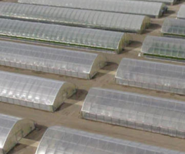 隧道式温室 - Cold Frame series - Conley's Manufacturing & Sales - 塑料 / 钢结构