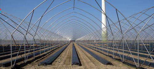 连栋温室 - Pioneer - Haygrove Tunnels - 园林花卉 / 塑料 / 带排水沟