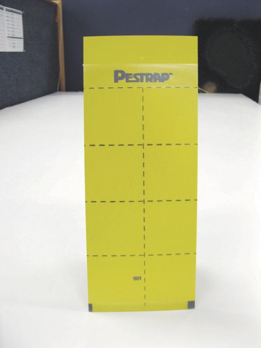 昆虫防虫害陷阱 - Pestrap™ Medium - Phytotronics Inc - 胶
