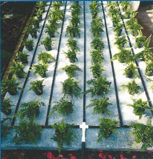 毛细管滴灌系统 - Capmat II Capollary Matting - Phytotronics Inc - 磨砂