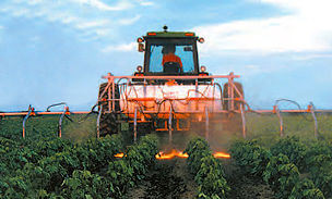 垄间除草机 - Row Crop Flame Weeder - Flame Engineering, Inc. - 火焰式 / 拖拉机悬挂 / 有机农业