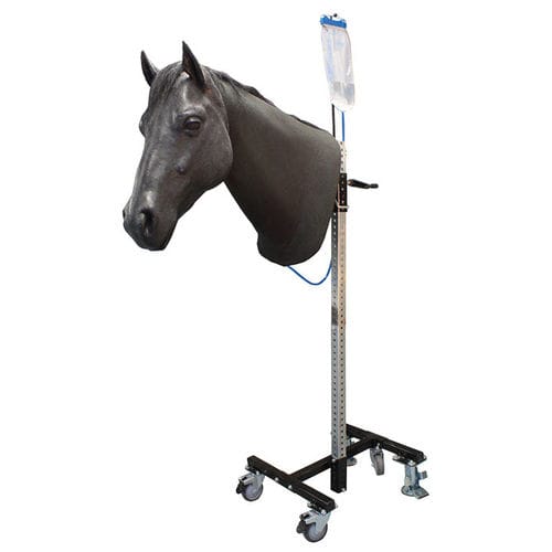 马用兽医模拟器 - IM - Veterinary Simulator Industries Ltd. - 头部