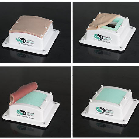 培训兽医模拟器 - Veterinary Simulator Industries Ltd. - 缝合 / 垫