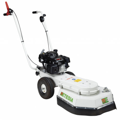 热量除草机 - MBR50  - ETESIA - 手推自行式 / 株间 / 刷式