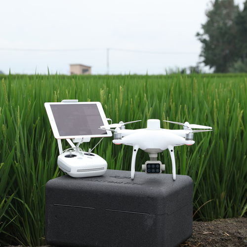 旋翼农用无人机 - DJI PHANTOM 4 MULTISPECTRAL - Aermatica3D srl (AERMATICA3D) - 八旋翼