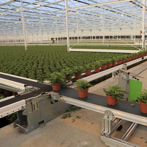 集装箱输送机 - SmartFlo Conveyor belt system - WPS - 带式