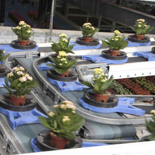 植物表型分析系统 / 植物 - WPS - 温室 / 自动化