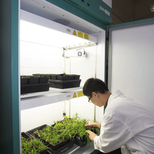 植物生长种植箱 - GEN1000 SH - CONVIRON - 用于研究