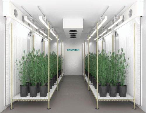 植物生长种植箱 - EVO series - CONVIRON - 用于研究