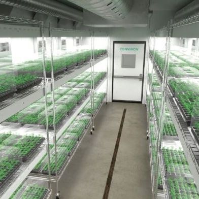 植物生长种植箱 - CLON1020 - CONVIRON