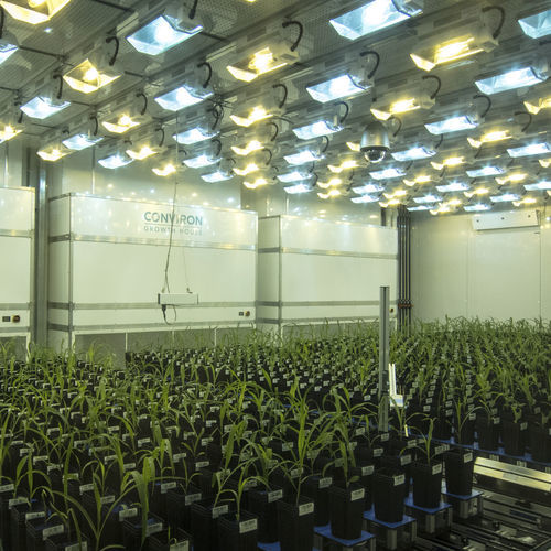 植物生长种植箱 - Conviron Growth House™ - CONVIRON