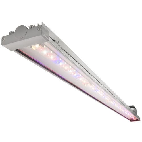 温室灯具 - AE100 - Ambralight - 垂直种植系统 / 用于育苗箱 / 花卉