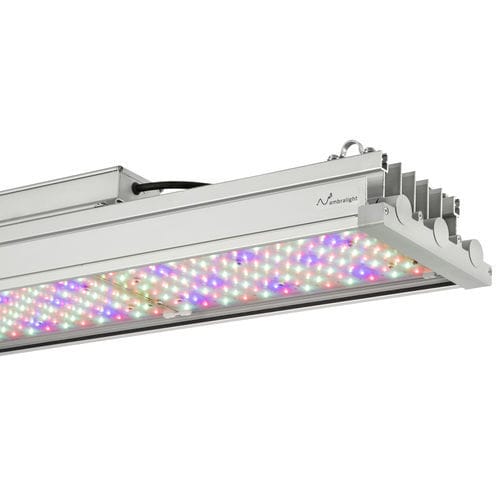 温室灯具 - ELETTRA - Ambralight - 垂直种植系统 / 用于育苗箱 / 花卉