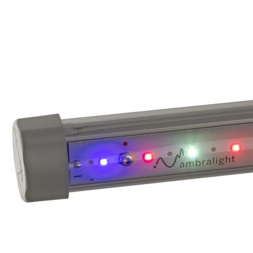 温室灯具 - AQUILA - Ambralight - 垂直种植系统 / 用于育苗箱 / 花卉