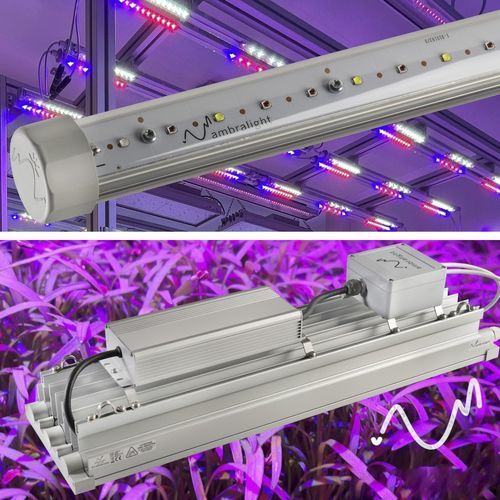 温室灯具 - Aquila + Elettra - Ambralight - 水产养殖 / 垂直种植系统 / LED式
