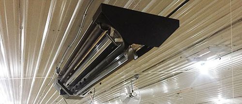电动空气加热器 - AV2 Series  - CUMBERLAND - 燃气 / 悬挂式 / 禽舍