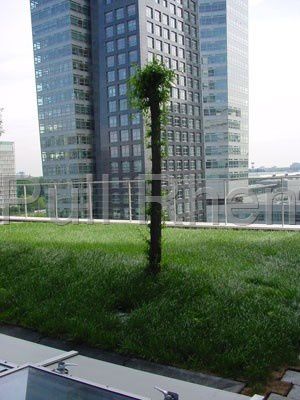珍珠岩栽培基质 - Greenroof - Pull Rhenen - 散装 / 多孔