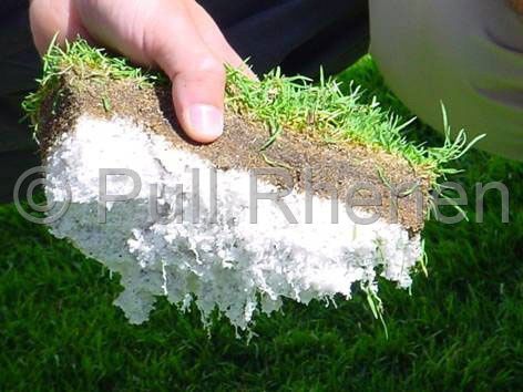 珍珠岩栽培基质 - Golfgreens - Pull Rhenen - 土块 / 紧凑型