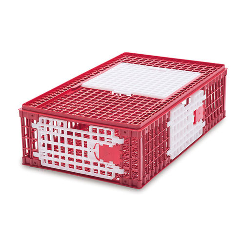 鸡运输笼 - A - ARION FASOLI SRL - 塑料