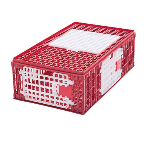 鸡运输笼 - B - ARION FASOLI SRL - 塑料