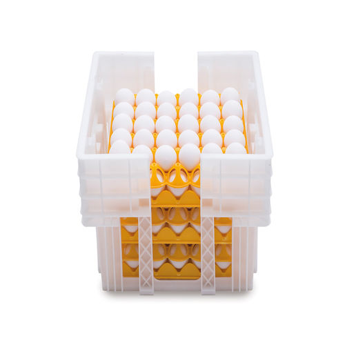 运输用鸡蛋盒 - Ovobox - ARION FASOLI SRL - 鸡蛋 / 塑料