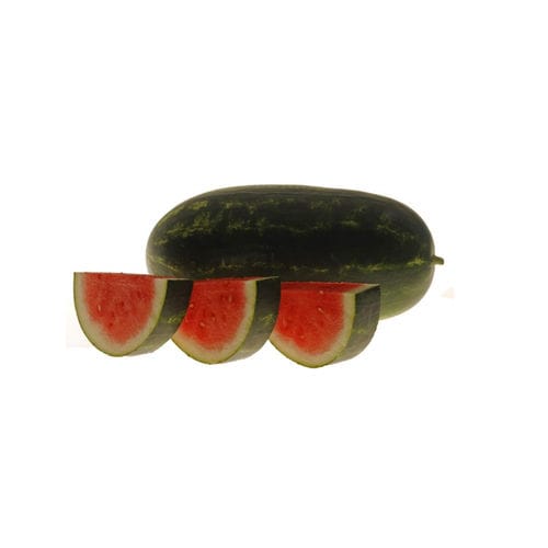 早熟西瓜种子 - Arcadia - Hollar Seeds - 炭疽病抗性 / 抗镰刀菌