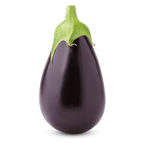 早熟茄子种子 - BLACK BEAUTY - PanDia Seeds
