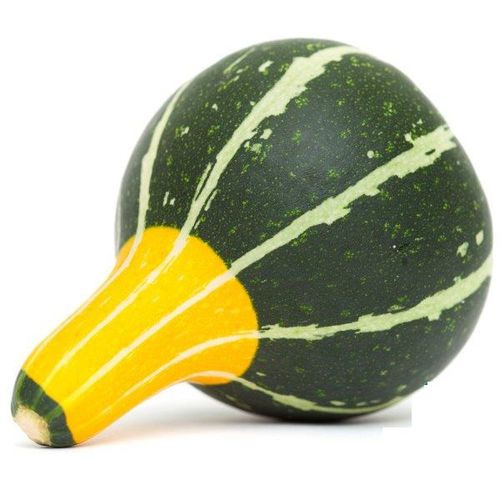 早熟南瓜种子 - Pear  - Seeds by Design - 秋季 / 黄色 / 绿色