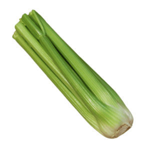 早熟水芹种子 - Remus F1 - Tozer Seeds Ltd - 混合动力 / 防抽苔