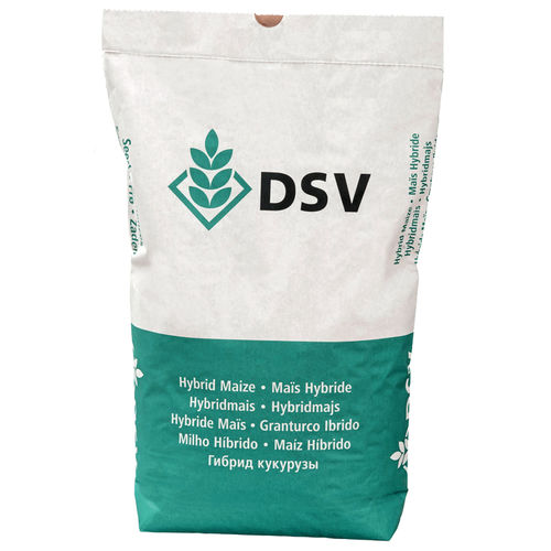 早熟玉米种子 - LIKEIT - DSV UK/得斯威 - 谷物 / 抗长蠕孢菌病 / 抗镰刀菌