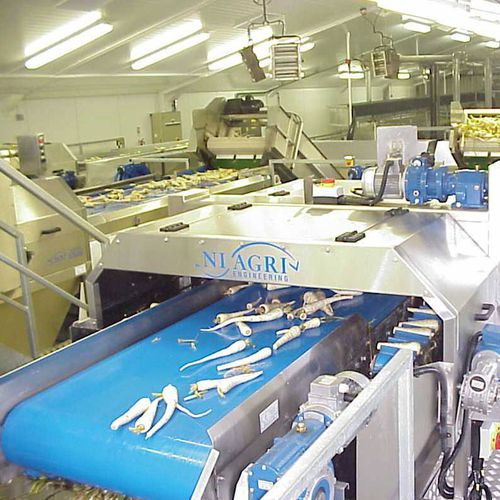 欧洲萝卜农作物清洗机 - Niagri Engineering - 自动