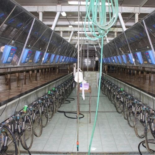 牛用挤奶厅 - FARMTEC a.s. - 平行