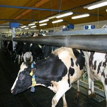 牛用分隔门 - FARMTEC a.s.