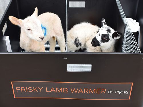 羊羔保温箱 - Frisky Lamb Warmer - Shearwell Data Ltd