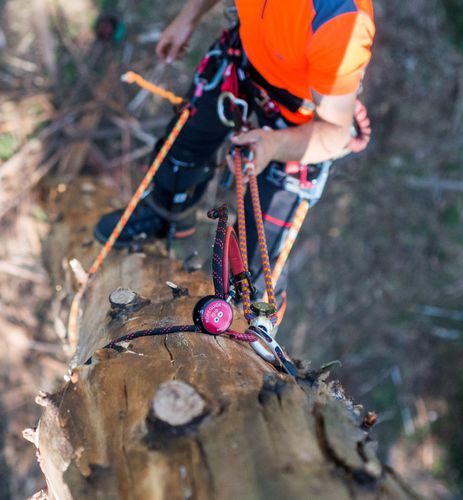 导绳 - Advanced Ropeclimbing Technology