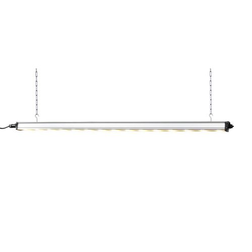 园艺照明系统 - HORTURION LED ML - BLV Licht- und Vakuumtechnik GmbH - LED式 / 红色 / 扁平