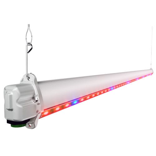 园艺灯具 - HORTURION LED IL - BLV Licht- und Vakuumtechnik GmbH - LED式 / 红色 / 蓝色