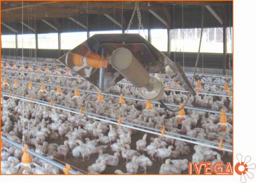 雏鸡保温灯 - Sistemas de calefaccion a gas IVEGA - IVEGA-DOTEX S.A. - 红外线