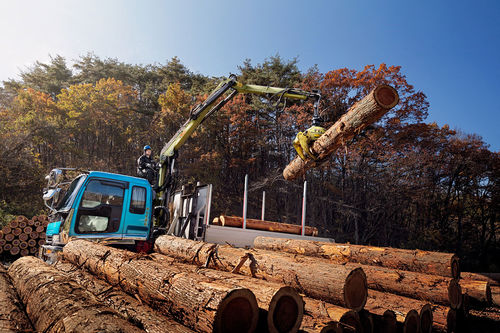 卡车安装式伐木起重机 - LOGLIFT 61Z - HIAB AB - 折臂式