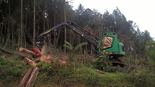 履带式联合伐木机