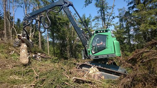 履带式联合伐木机 - 243 HV, 243 HVT - Neuson Forest GmbH - 带吊车