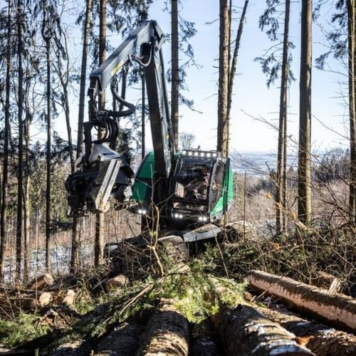履带式联合伐木机 - 264HVT - Neuson Forest GmbH - 带吊车 / 坡地