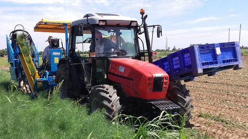 茴香收割机 - F 285 - Carpi Meccanica Snc - 拖拉机悬挂 / 1行