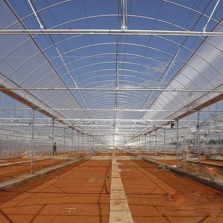 多尖顶温室 - Sunmax Greenhouse Technology Co., Ltd. - 花园 / 玻璃
