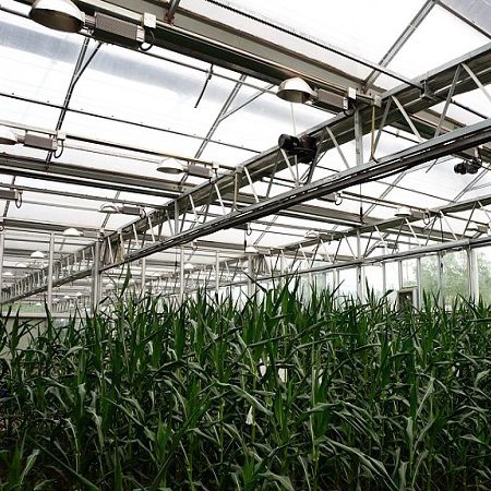 温室照明系统 - Sunmax Greenhouse Technology Co., Ltd. - 蓝色 / 红色