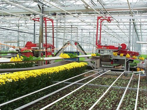 花朵收获机传送带 - BTM T124 - Pack TTI  / Weber Cooling - 自走式