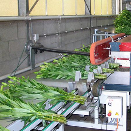 自动扎捆机 - T2300 - Pack TTI  / Weber Cooling - 用于切花花卉