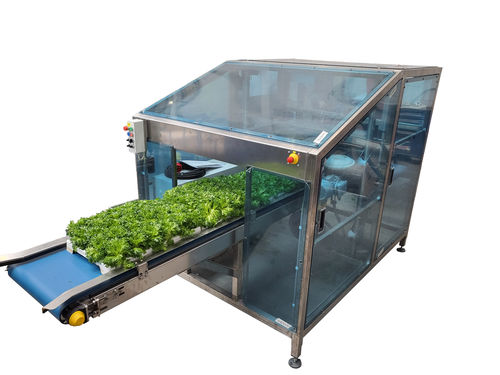 蔬菜收割机 - EazyCut - Pack TTI  / Weber Cooling - 自走式 / 1行