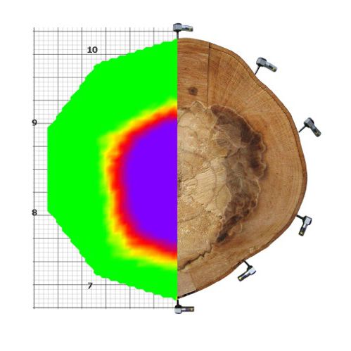 弹性波断层画像诊断装置 / 树用 - ArborSonic 3D - Fakopp Bt
