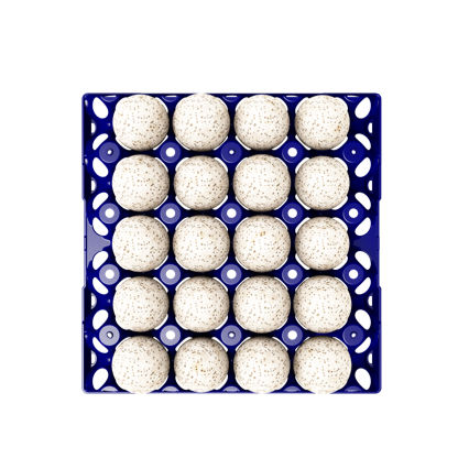 运输用蛋用托盘 - Duck - Turkey Egg Tray 20 Eggs  - GI-OVO B.V. - 鸭蛋 / 火鸡蛋 / 塑料